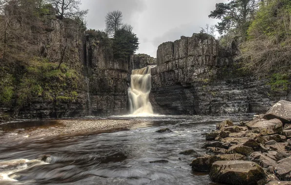 Trees, river, stones, rocks, vegetation, waterfall