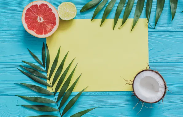 Background, coconut, palm leaves, grapefruit