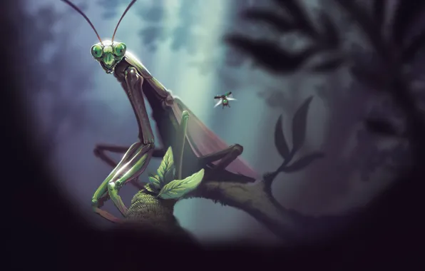 Nature, Figure, Beetle, Illustration, Concept Art, Insect, Environments, Mantis