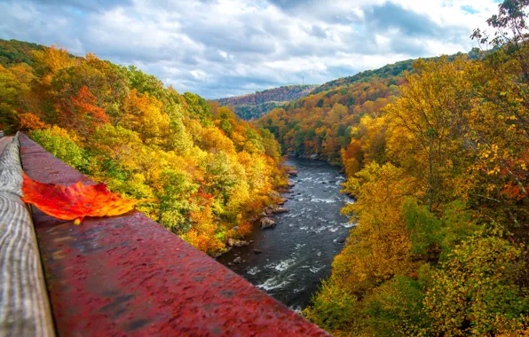 Picture autumn, forest, the sky, leaves, clouds, trees, mountains, bridge