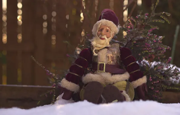 Branches, toy, Santa, the old man, grandpa