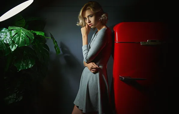 Look, girl, pose, dress, refrigerator, blonde, Sergey Fat, Sergey Zhirnov