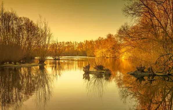 Picture autumn, lake, morning