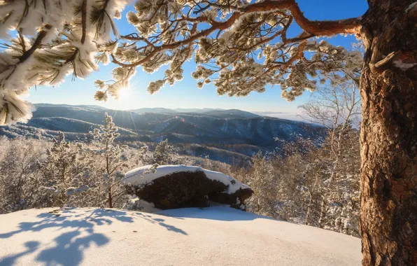 Winter, snow, trees, mountains, view, panorama