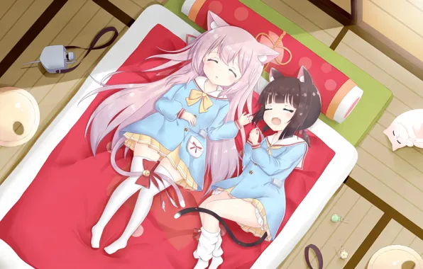 Anime, Girls, Sleep, Azur Lane