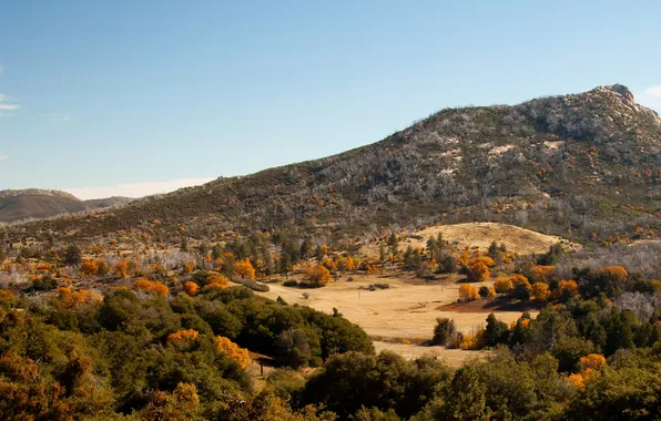 Autumn, trees, mountains, Sunny