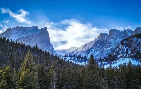 Winter, forest, mountains, Rocky Mountain National Park