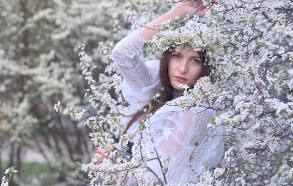 Look, girl, branches, cherry, pose, Park, Bush, portrait