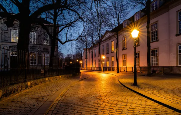 Street, the evening, lights, Netherlands, Holland, Breda, Nonsense