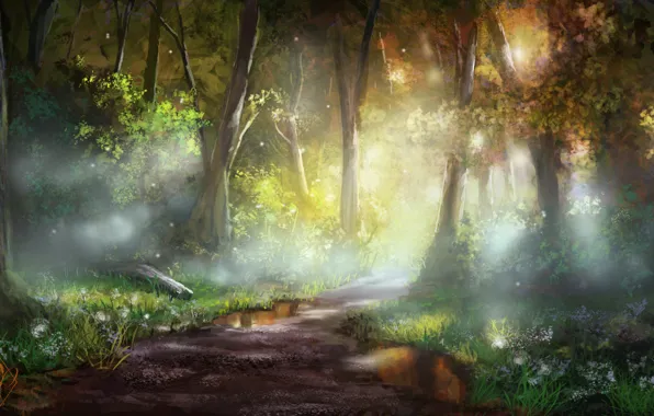 Picture forest, flowers, trail, puddle, art, jjpeabody
