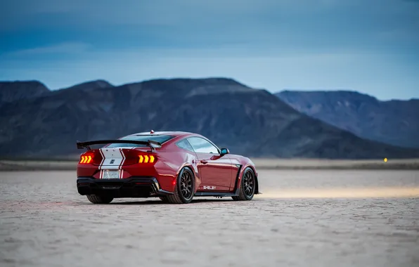 Picture Mustang, Shelby, Shelby Super Snake, 2024