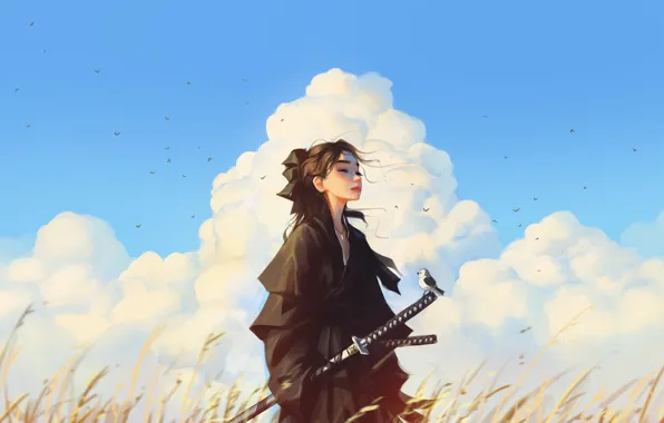 Field, clouds, samurai, Sam Yang, woman with sword