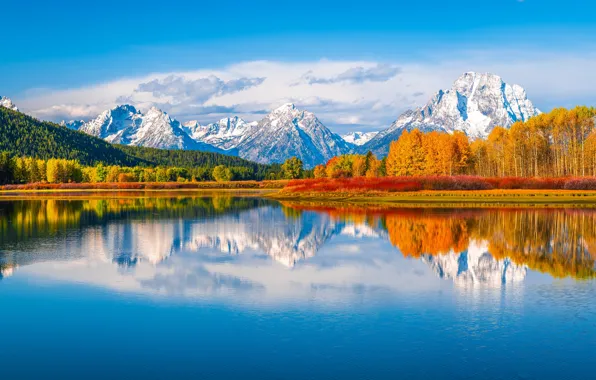 Autumn, forest, trees, mountains, reflection, river, Wyoming, panorama