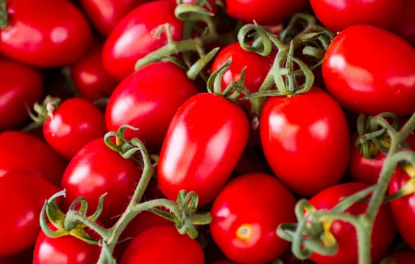 Picture red, tomatoes, tomatoes