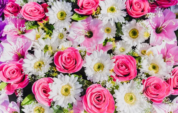Flowers, roses, gerbera