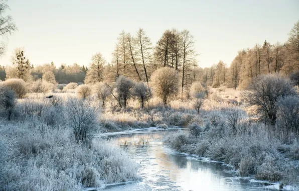 Winter, nature, river