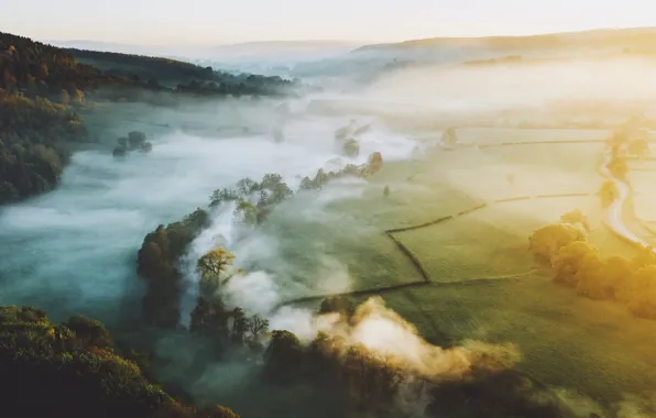 Trees, fog, hills, morning, valley