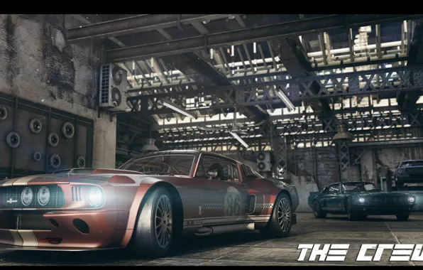 Race, Ford, garage, The Crew, GT-500