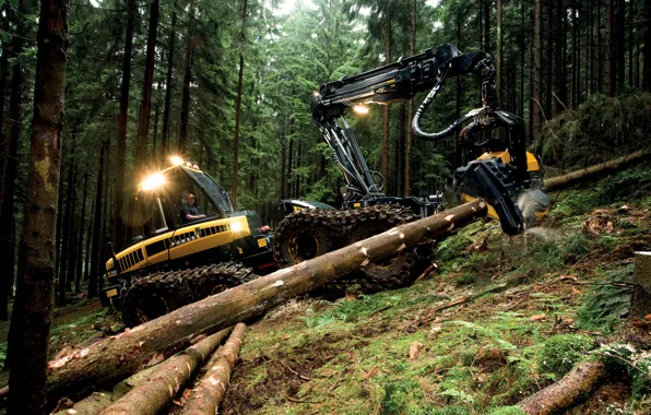 Forest, trees, lights, wheel, log, sawdust, forestry equipment, Ponsse