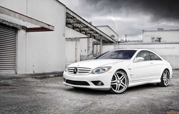 Picture road, plant, Mercedes