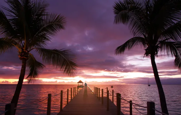 Picture sea, love, sunset, palm trees, the ocean