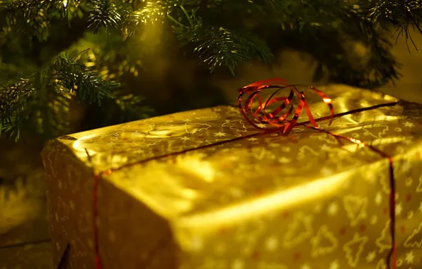 Light, branches, holiday, box, gift, Christmas, New year, gold plated