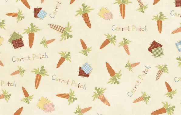 The inscription, texture, carrot