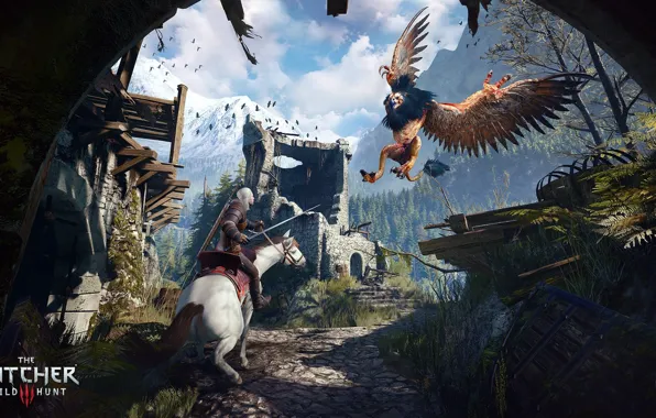 Horse, wings, feathers, the Witcher, Griffin, Geralt, The Witcher 3: Wild Hunt, The Witcher 3: …