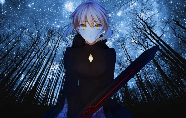 Girl, Anime, Fate/Stay Night, Night, Saber, Forest, Type-Moon, Fate