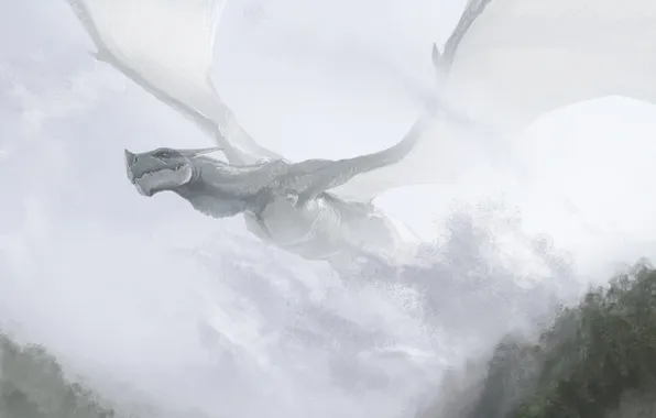 Picture flight, fog, hills, dragon, art