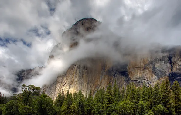 Picture forest, clouds, nature, fog, mountain