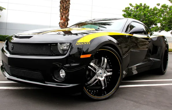 Camaro, chevrolet, tuning, asanti