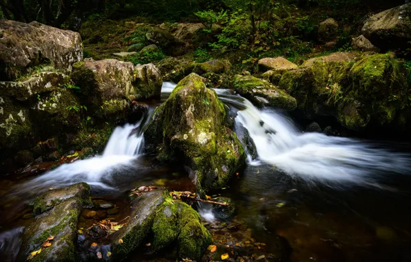 Picture stream, stones, England, moss, Lake District, Cumbria