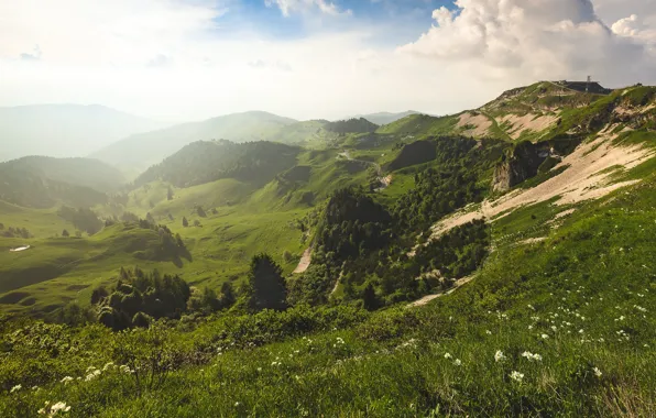 Greens, the sky, trees, mountains, the slopes