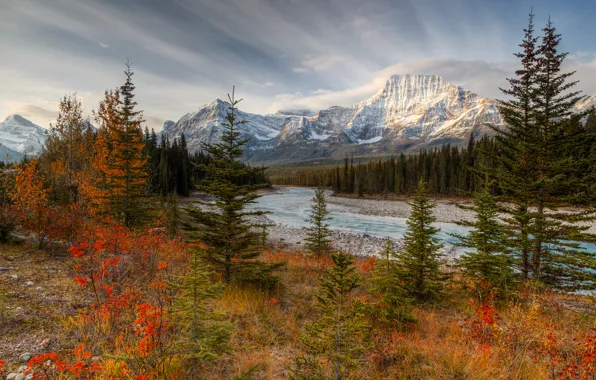 Autumn, forest, mountains, Canada, Albert, Jasper national Park, October, river Athabasca