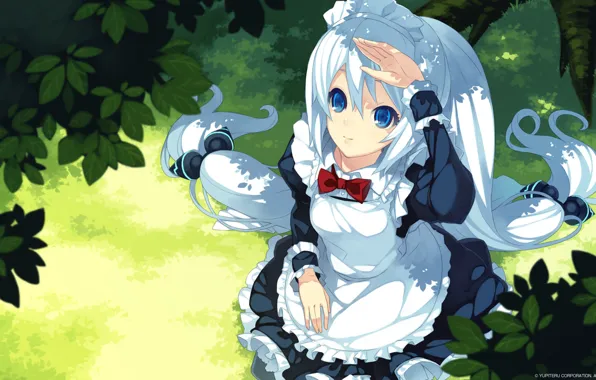 Car, picnic, maid, mascot, yupiteru, rader, kirishima lei
