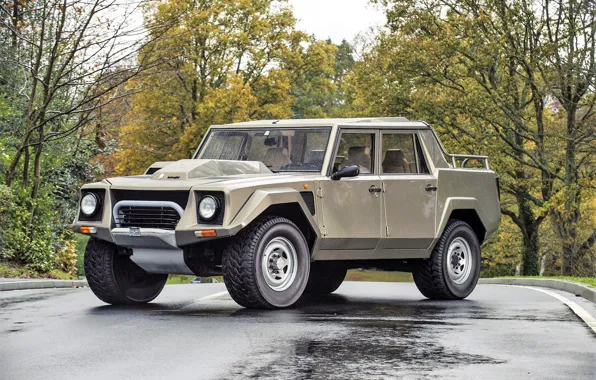 Road, car, machine, forest, asphalt, Lamborghini, pickup, wheel