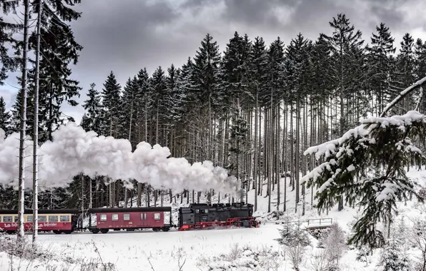 Winter, forest, snow, the engine, railroad