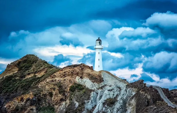 Picture coast, lighthouse, New Zealand