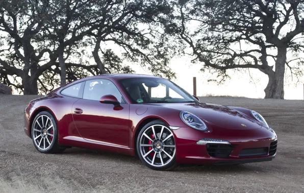 Picture the sky, trees, coupe, 911, supercar, ears, supercar, porsche