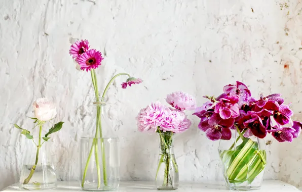 Flowers, orchids, gerbera, vases, bouquets