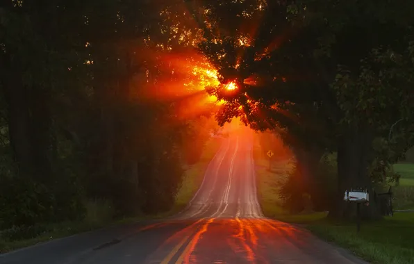 Road, autumn, light, morning