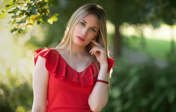 Picture summer, look, girl, face, sweetheart, Clear