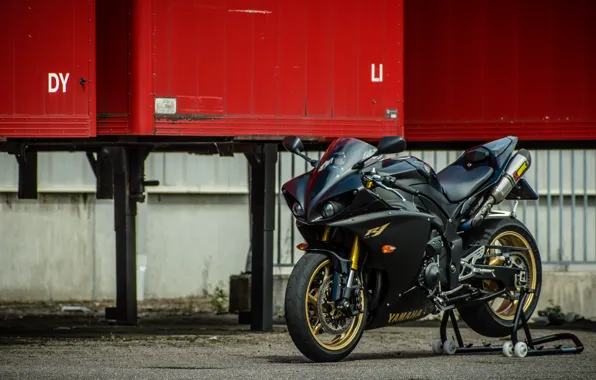 Picture YZF-R1, Gold, Matte Black, Front view