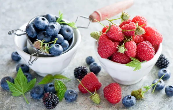 Picture leaves, berries, raspberry, blueberries, BlackBerry, blueberries, Anna Verdina, bowl