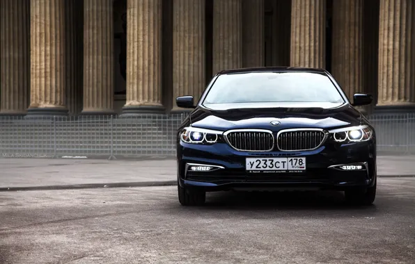 Car, machine, auto, city, fog, race, bmw, BMW