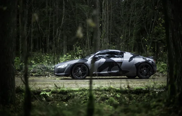 Car, machine, auto, forest, fog, rain, Audi, audi