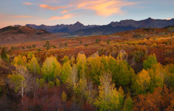 Autumn, forest, the sky, clouds, trees, mountains, nature, hills