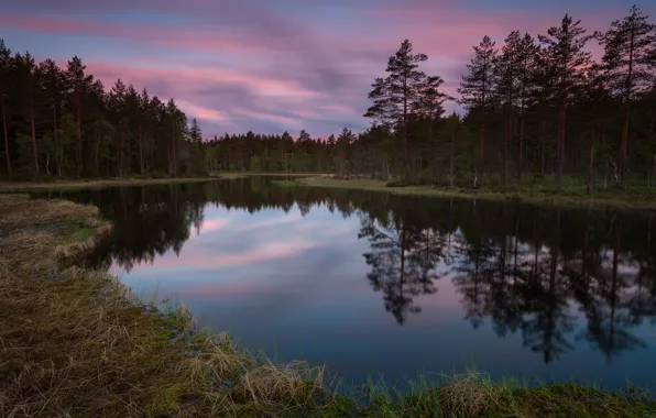 Autumn, forest, clouds, sunset, comfort, lake, reflection, trunks
