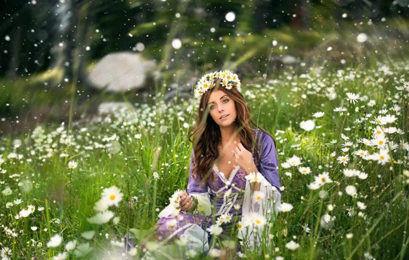Picture summer, girl, flowers, chamomile, wreath, Lichon